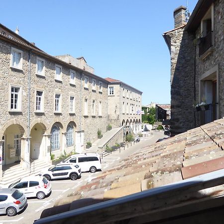 La Maison Du Chateau Au Calme Et Centrale Турнон-сюр-Рон Экстерьер фото